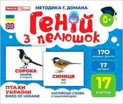 Купити Геній з пелюшок. Птахи України. Демонстраційний матеріал Колектив авторів